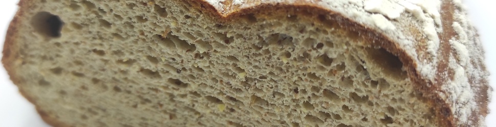 proteico pan proteico sin gluten celiacos pan panaderia masa madre indespan investigacion y desarrollo panadero pasteleria materia prima sin gluten valencia españa bechamel hosteleria catering saludable